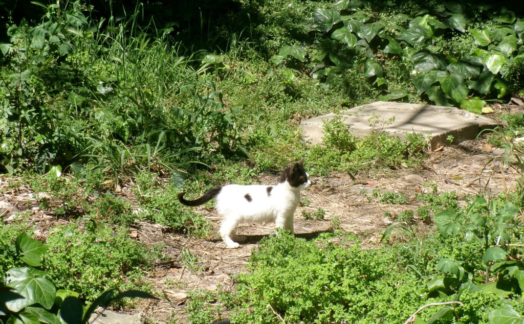 Quote of the&nbsp;day